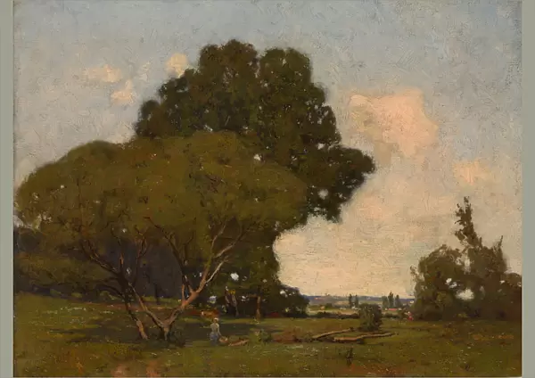 The Trees, Early Afternoon, France, ca. 1905. Creator: William A. Harper