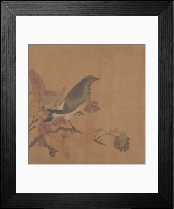 Framed Print : Bird on Branch. Creator: Unknown Framed Print : Bird on Branch. Creator: Unknown
