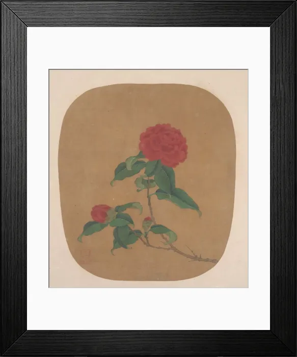 Framed Print : Camellia Flowers. Creator: Unknown Framed Print : Camellia Flowers. Creator: Unknown