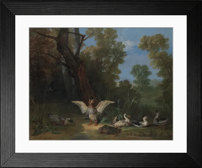 Framed Print : Ducks Resting in Sunshine, 1753. Creator: Jean-Baptiste Oudry Framed Print : Ducks Resting in Sunshine, 1753. Creator: Jean-Baptiste Oudry
