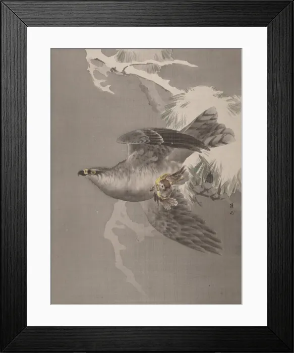 Framed Print : Hawk Holding a Small Bird, ca. 1891-92. Creator: Okada Baison Framed Print : Hawk Holding a Small Bird, ca. 1891-92. Creator: Okada Baison