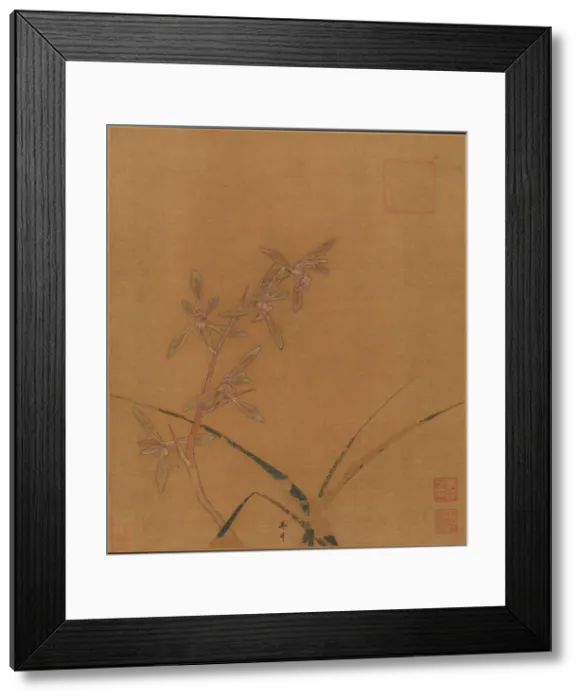 Framed Print : Orchids, second quarter of the 13th century. Creator: Ma Lin Framed Print : Orchids, second quarter of the 13th century. Creator: Ma Lin
