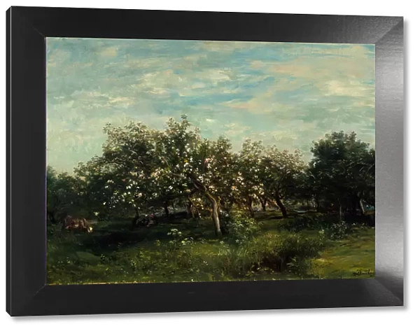 Apple Blossoms, 1873. Creator: Charles Francois Daubigny
