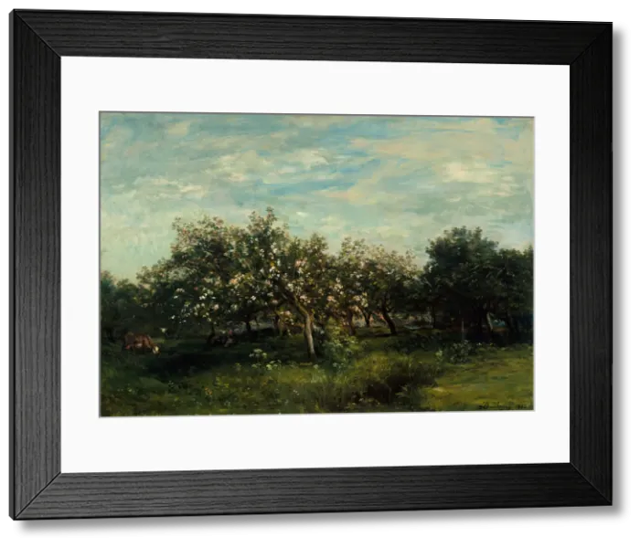 Framed Print : Apple Blossoms, 1873. Creator: Charles Francois Daubigny