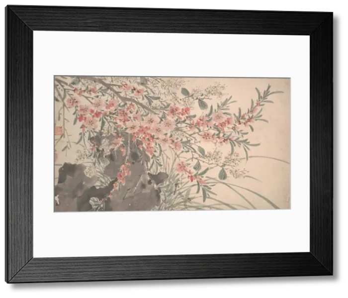 Framed Print : Garden Flowers, dated 1540. Creator: Unknown Framed Print : Garden Flowers, dated 1540. Creator: Unknown
