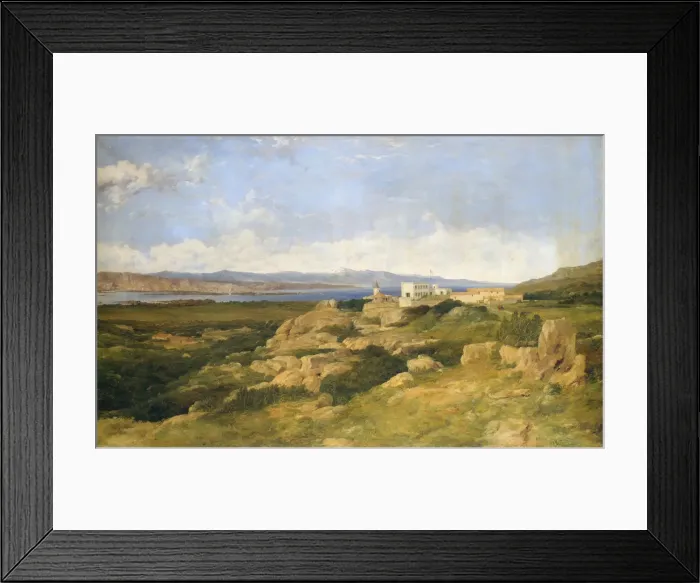 Framed Print : General Garibaldis Residence at Caprera, 1865. Creator: Frederick Richard Lee Framed Print : General Garibaldis Residence at Caprera, 1865. Creator: Frederick Richard Lee