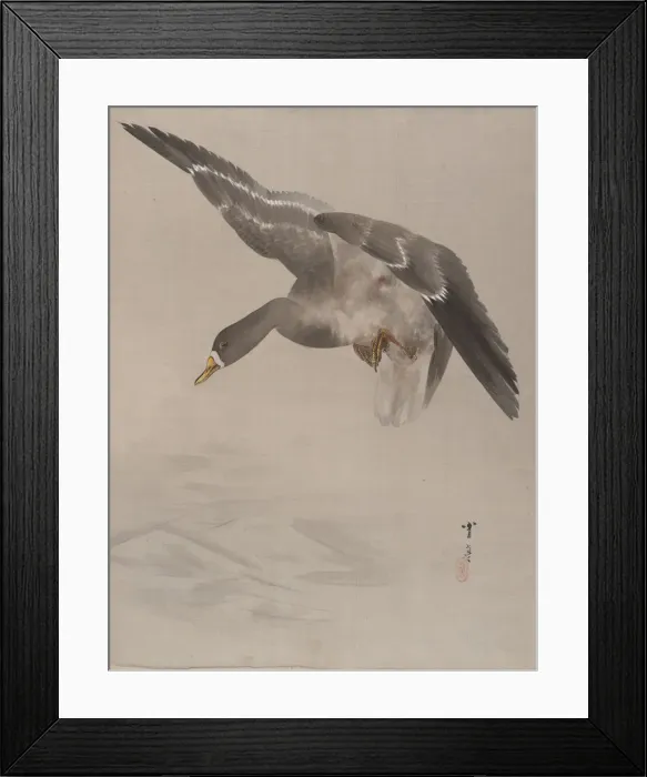 Framed Print : Duck, ca. 1887. Creator: Watanabe Seitei Framed Print : Duck, ca. 1887. Creator: Watanabe Seitei