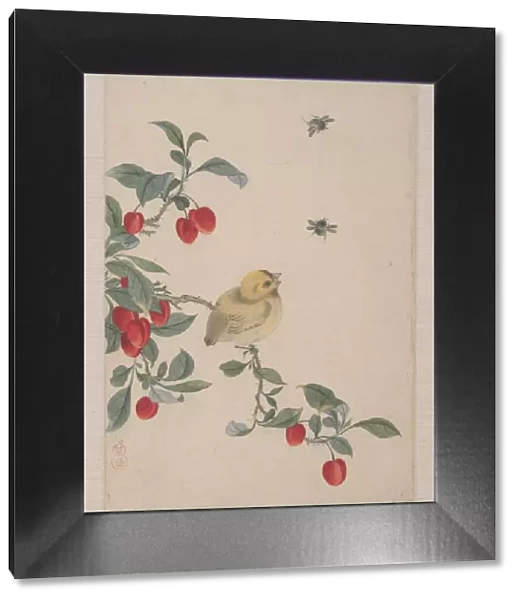 Birds, Insects and Flowers, 19th century. Creator: Yi Zhai