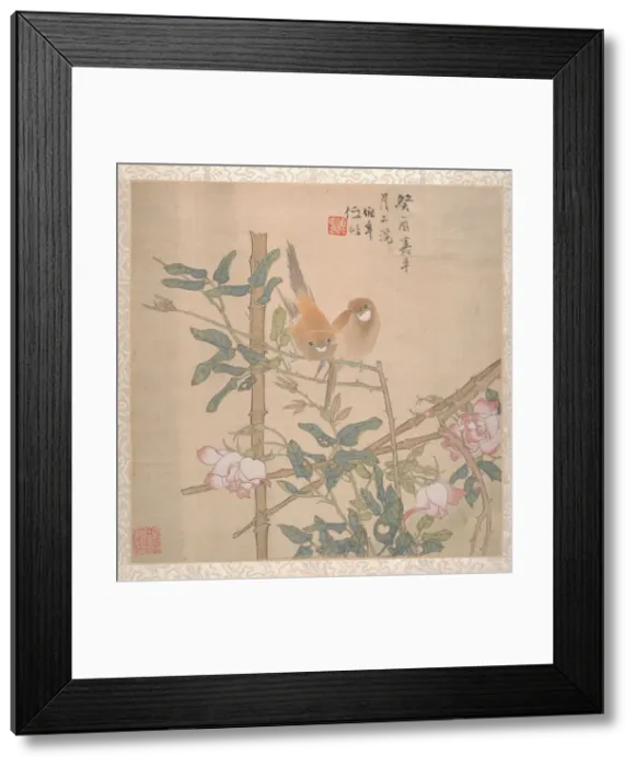 Framed Print : Two Birds Perched on a Flowering Rose Bush, late 19th century. Creator: Ren Yi Framed Print : Two Birds Perched on a Flowering Rose Bush, late 19th century. Creator: Ren Yi
