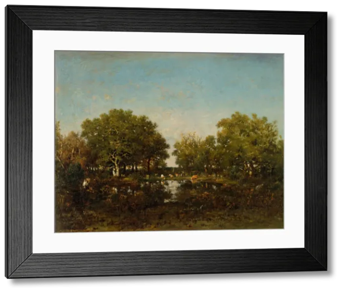 Framed Print : The Pool (Memory of the Forest of Chambord), 1839. Creator: Theodore Rousseau Framed Print : The Pool (Memory of the Forest of Chambord), 1839. Creator: Theodore Rousseau