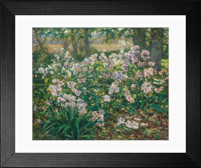 Framed Print : Windflowers, 1912. Creator: Gaines Ruger Donoho Framed Print : Windflowers, 1912. Creator: Gaines Ruger Donoho