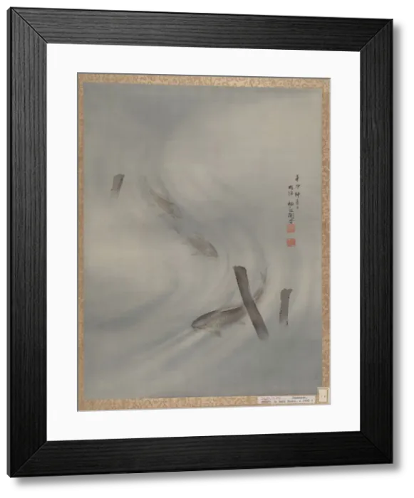 Framed Print : Fishes Swimming, Summer, 1891. Creator: Seki Shuko Framed Print : Fishes Swimming, Summer, 1891. Creator: Seki Shuko