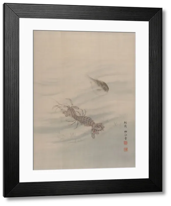 Framed Print : Bottom of the Sea Showing Cray Fish, ca. 1890-92. Creator: Seki Shuko Framed Print : Bottom of the Sea Showing Cray Fish, ca. 1890-92. Creator: Seki Shuko