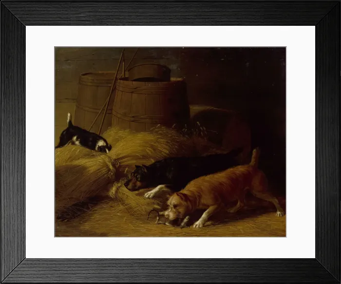 Framed Print : Rats amongst the Barley Sheaves, 1851. Creator: Thomas Hewes Hinckley