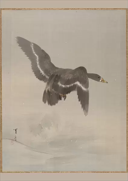 Flying Goose, ca. 1887. Creator: Watanabe Seitei