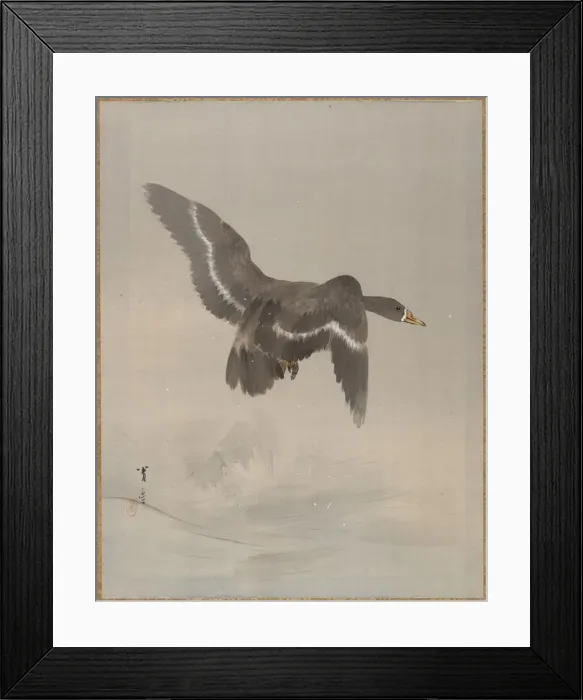 Framed Print : Flying Goose, ca. 1887. Creator: Watanabe Seitei Framed Print : Flying Goose, ca. 1887. Creator: Watanabe Seitei