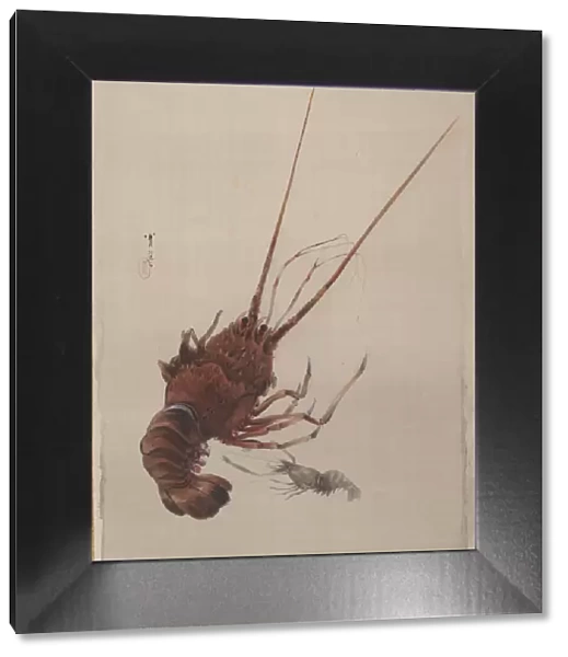 Crayfish, ca. 1887. Creator: Watanabe Seitei