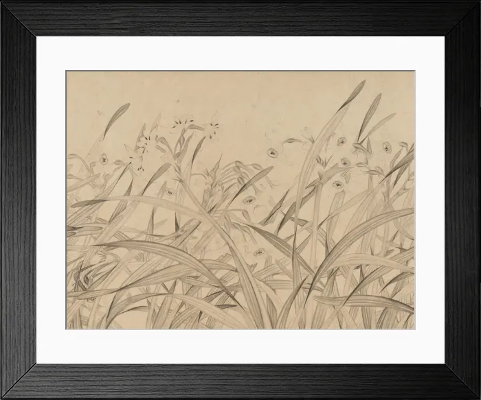 Framed Print : Narcissus, mid-13th century. Creator: Zhao Mengjian Framed Print : Narcissus, mid-13th century. Creator: Zhao Mengjian