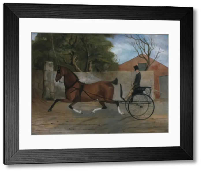 Framed Print : Portrait of a Gentleman in a Carriage, ca. 1850-60. Creator: Unknown Framed Print : Portrait of a Gentleman in a Carriage, ca. 1850-60. Creator: Unknown