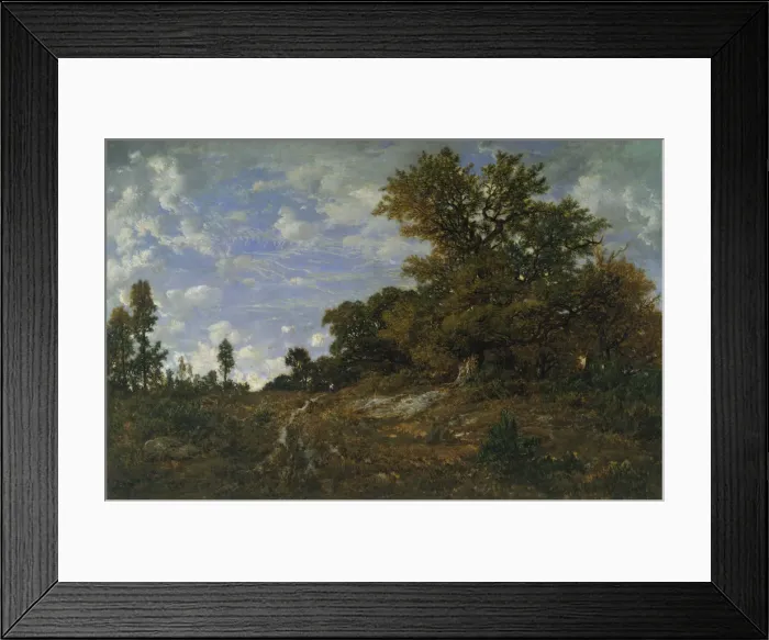 Framed Print : The Edge of the Woods at Monts-Girard, Fontainebleau Forest, 1852-54. Creator: Theodore Rousseau Framed Print : The Edge of the Woods at Monts-Girard, Fontainebleau Forest, 1852-54. Creator: Theodore Rousseau