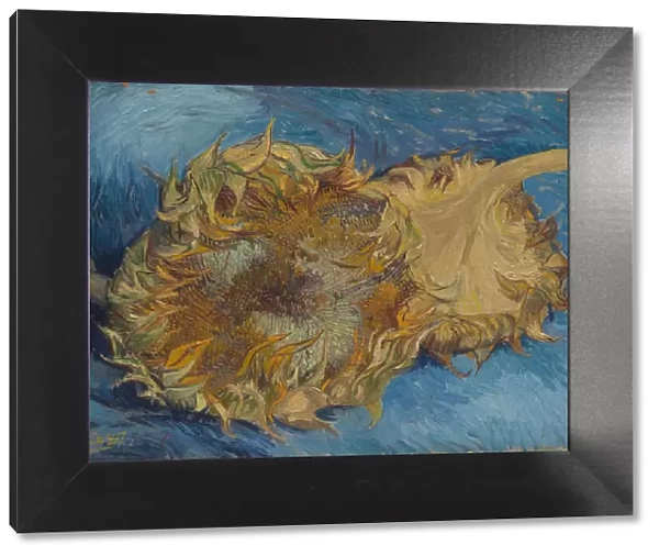 Sunflowers, 1887. Creator: Vincent van Gogh