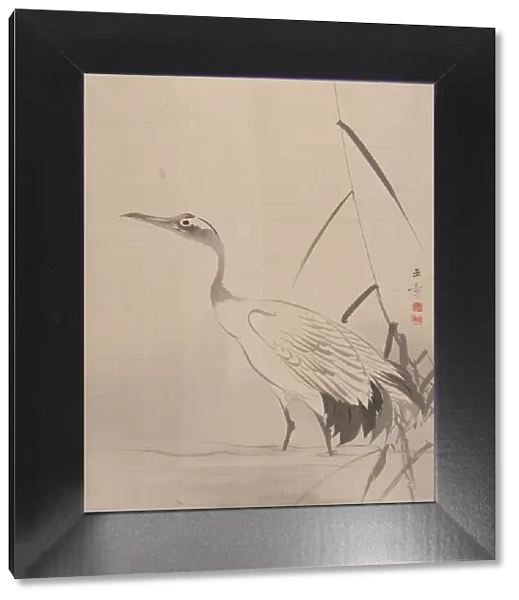 Crane Among Reeds, 1887-92. Creator: Gyokusho Kawabata