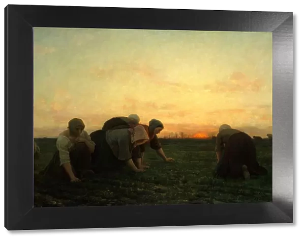 The Weeders, 1868. Creator: Jules Breton