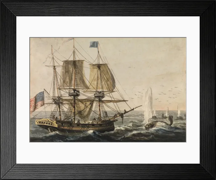 Framed Print : Replenishing the Ships Larder with Codfish off the Newfoundland Coast, 1811-ca. 1813 Framed Print : Replenishing the Ships Larder with Codfish off the Newfoundland Coast, 1811-ca. 1813