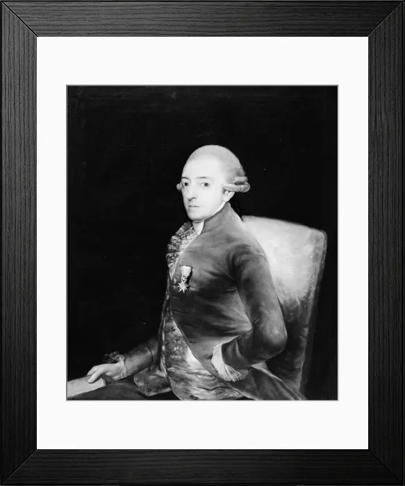 Framed Print : Don Bernardo de Iriarte (1735-1814). Creator: Copy after Goya (Spanish, 1797 or later) Framed Print : Don Bernardo de Iriarte (1735-1814). Creator: Copy after Goya (Spanish, 1797 or later)