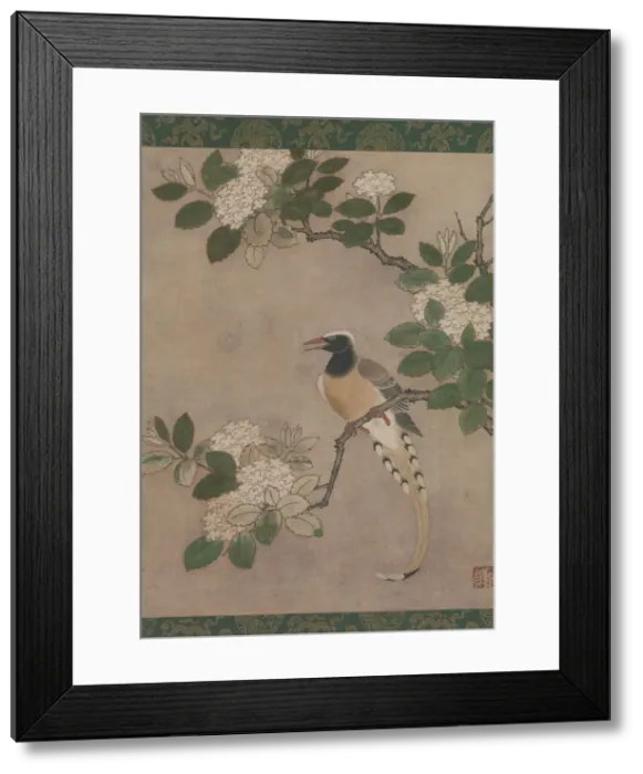Framed Print : Magpie on Viburnum Branch, early 16th century. Creator: Genga Framed Print : Magpie on Viburnum Branch, early 16th century. Creator: Genga