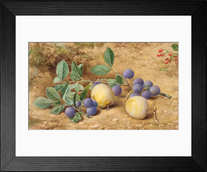 Framed Print : Plums, 1870. Creator: John William Hill Framed Print : Plums, 1870. Creator: John William Hill