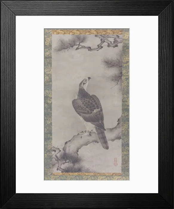 Framed Print : Hawk on a Pine (Shoo zu), 16th century. Creator: Kano Yukinobu Framed Print : Hawk on a Pine (Shoo zu), 16th century. Creator: Kano Yukinobu