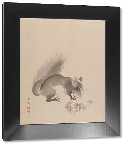 Squirrel Eating Chestnuts, 1887-92. Creator: Gyokusho Kawabata