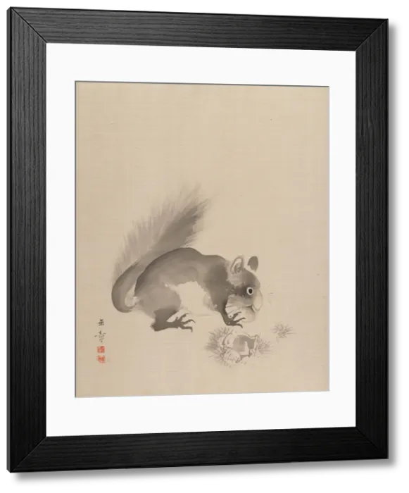Framed Print : Squirrel Eating Chestnuts, 1887-92. Creator: Gyokusho Kawabata Framed Print : Squirrel Eating Chestnuts, 1887-92. Creator: Gyokusho Kawabata
