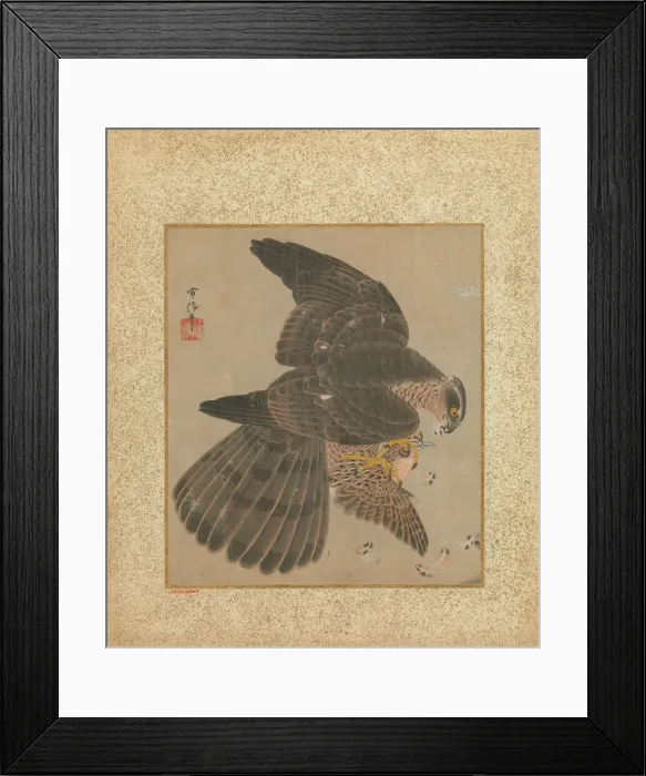 Framed Print : Album of Hawks and Calligraphy, 17th-18th century. Creator: Kano Yoboku Tsunenobu Framed Print : Album of Hawks and Calligraphy, 17th-18th century. Creator: Kano Yoboku Tsunenobu