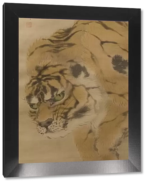 Tiger, early 19th century. Creator: Kishi Ganku