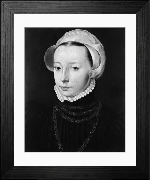 Framed Print : Portrait of a Young Woman. Creator: Pieter Pourbus Framed Print : Portrait of a Young Woman. Creator: Pieter Pourbus