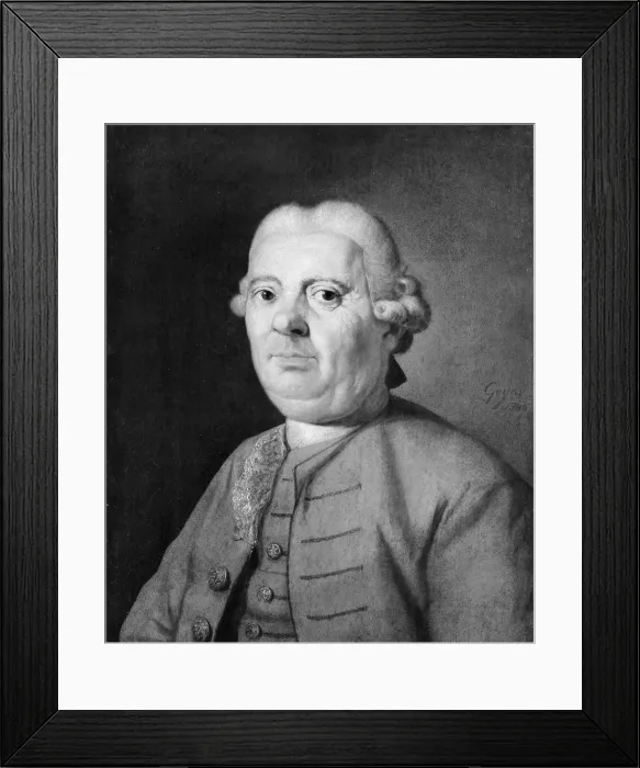 Framed Print : Portrait of a Man. Creator: Gaspare Traversi Framed Print : Portrait of a Man. Creator: Gaspare Traversi