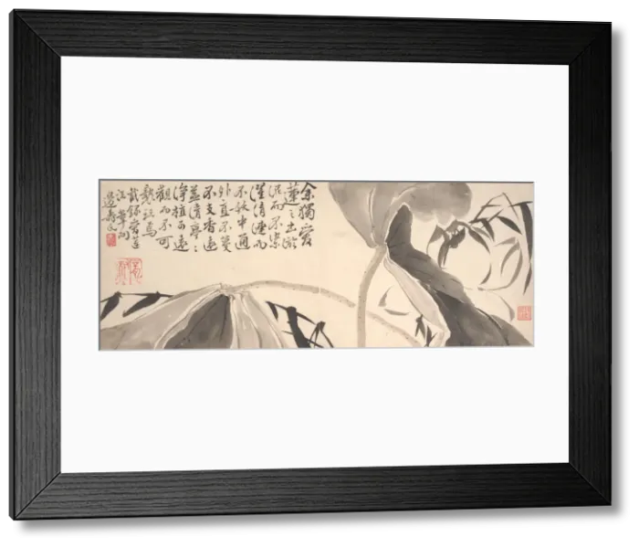 Framed Print : Lotus Leaves and Water Reeds. Creator: Bian Shoumin Framed Print : Lotus Leaves and Water Reeds. Creator: Bian Shoumin