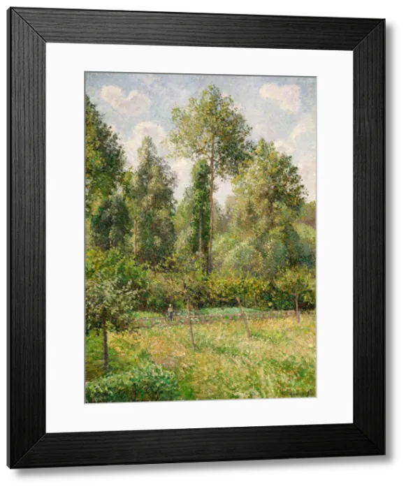 Framed Print : Poplars, Eragny, 1895. Creator: Camille Pissarro Framed Print : Poplars, Eragny, 1895. Creator: Camille Pissarro