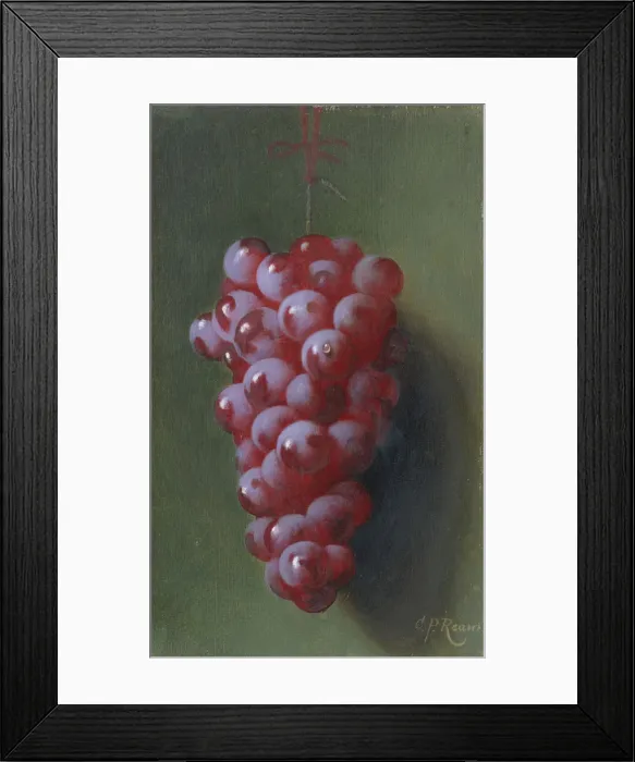 Framed Print : Still Life with Grapes. Creator: Carducius Plantagenet Ream Framed Print : Still Life with Grapes. Creator: Carducius Plantagenet Ream
