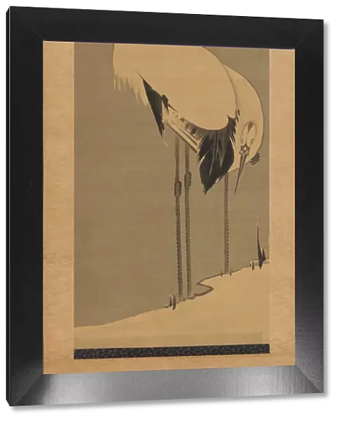Two Cranes, 1795. Creator: Ito Jakuchu