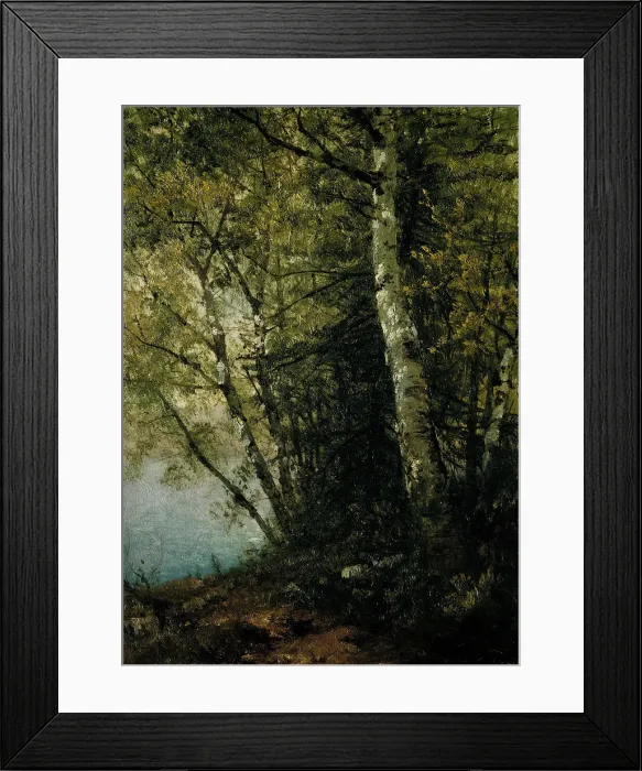 Framed Print : Study of Beeches, 1872. Creator: John Frederick Kensett Framed Print : Study of Beeches, 1872. Creator: John Frederick Kensett