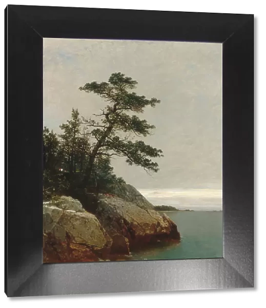 The Old Pine, Darien, Connecticut, 1872. Creator: John Frederick Kensett