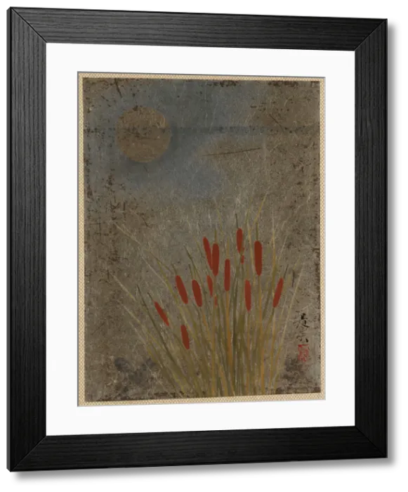 Framed Print : Cat Tails and Moon. Creator: Shibata Zeshin Framed Print : Cat Tails and Moon. Creator: Shibata Zeshin