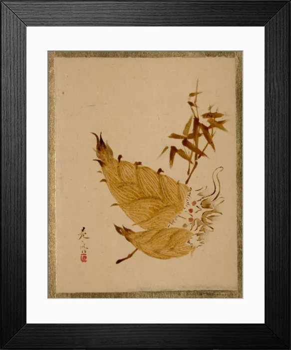 Framed Print : Bamboo Shoots, ca. 1880s. Creator: Shibata Zeshin Framed Print : Bamboo Shoots, ca. 1880s. Creator: Shibata Zeshin