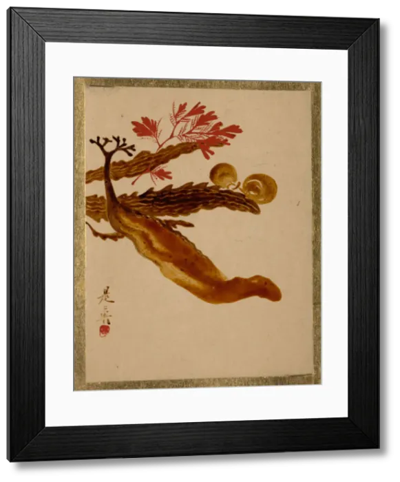 Framed Print : Seaweed. Creator: Shibata Zeshin Framed Print : Seaweed. Creator: Shibata Zeshin