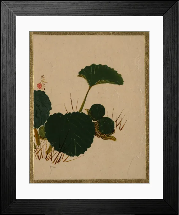 Framed Print : Worm on Green Leaved Plant. Creator: Shibata Zeshin Framed Print : Worm on Green Leaved Plant. Creator: Shibata Zeshin