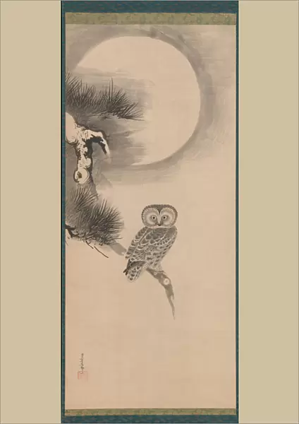 Owl on a Pine Branch, early 17th century. Creator: Soga Nichokuan