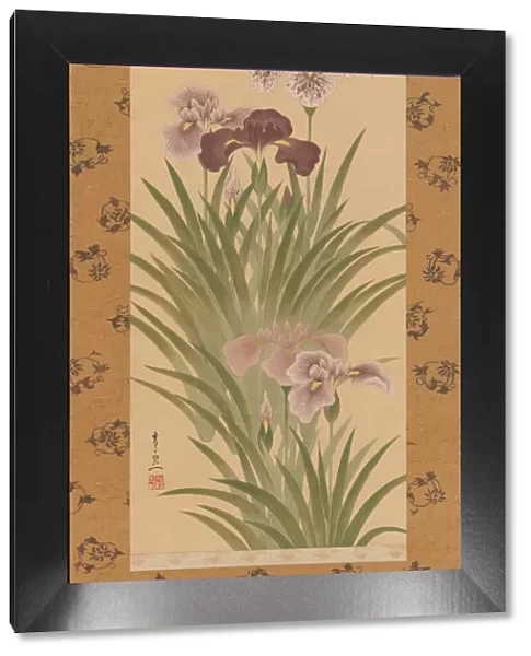 Irises and Moth, ca. 1850. Creator: Suzuki Kiitsu